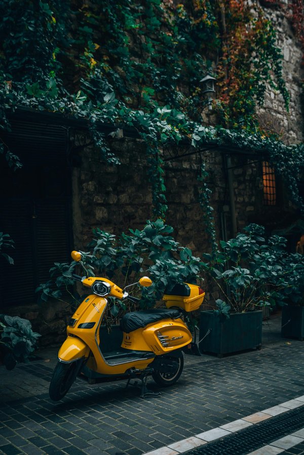 Explorez la gamme de scooters électriques pour tous les besoins